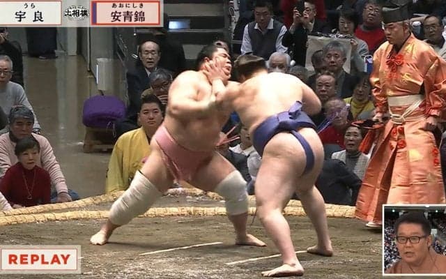 「宇良が一番嫌がること」「すぐ横綱ですよ」安青錦の“凄さ”に元横綱・若乃花も賞賛止まず