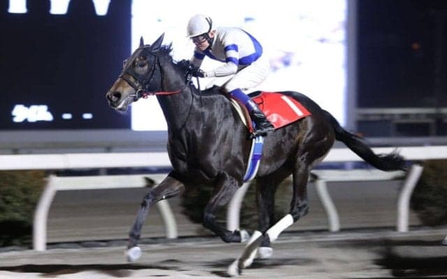 【高知・ベラトリックス特別】シンリンゲンカイがクビ差逃げ切りで3連勝、初の準重賞制覇
