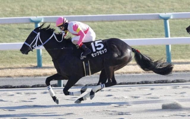 【雅S】モックモックが完勝…ルメール騎手はこの日の3勝目