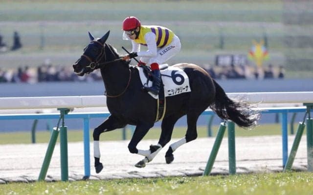 【新馬/京都5R】セイウンハーデス全妹、ニシノサリーナが5馬身差楽勝