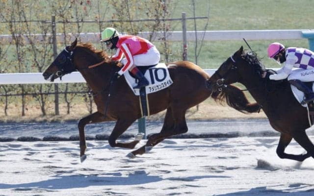 【新馬/京都4R】外国産アメリカンスタイルが抜け出す