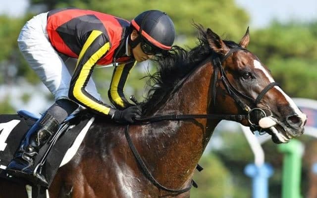 日経新春杯と京成杯の2重賞/今週の競馬界の見どころ