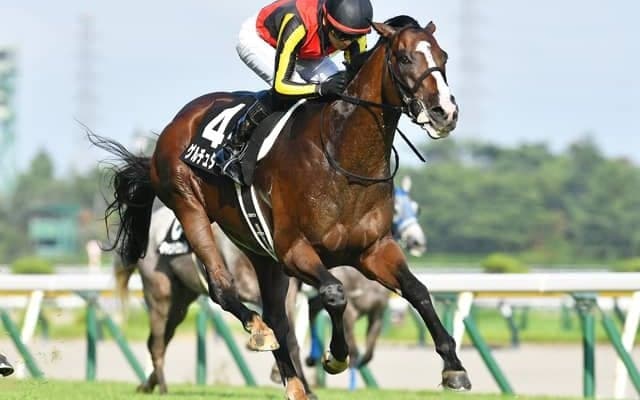 【日経新春杯見どころ】菊花賞で地力見せたゲルチュタールが強敵を一蹴する