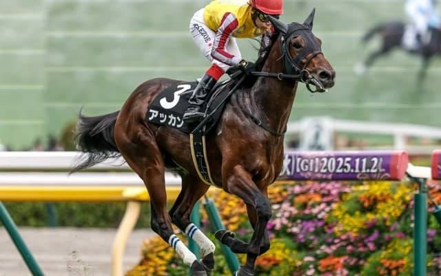 【京成杯見どころ】機動力が持ち味のアッカンが3連勝で重賞初制覇だ