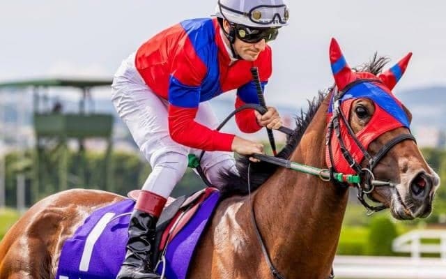 【日経新春杯】7歳牝馬のライラック 牡馬撃破で4年ぶりVなるか