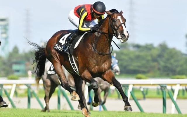 【日経新春杯予想オッズ】ゲルチュタールが予想1番人気