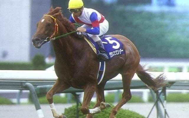 朝日杯3歳Sをレコードで制した栗毛の怪物 グラスワンダーの血統背景を解説