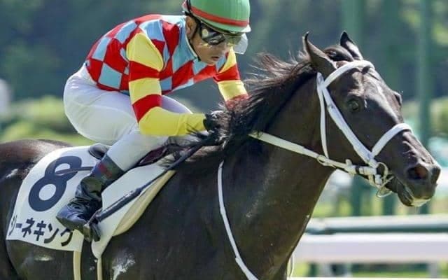 【京成杯】コントレイル産駒がJRA重賞初制覇なるか 札幌2歳S2着のジーネキングが参戦