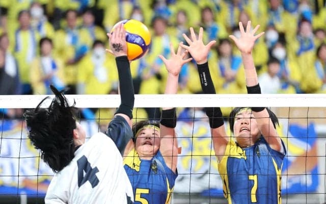 スポーツ記者コラム　春高バレー、横浜隼人マクアリスターから幼馴染の後輩に託された思い