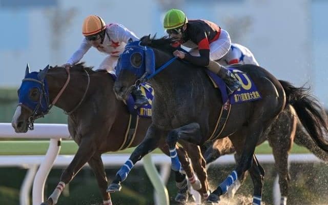 地方年度代表馬は東京大賞典Vのディクテオン NARグランプリの表彰人馬が発表