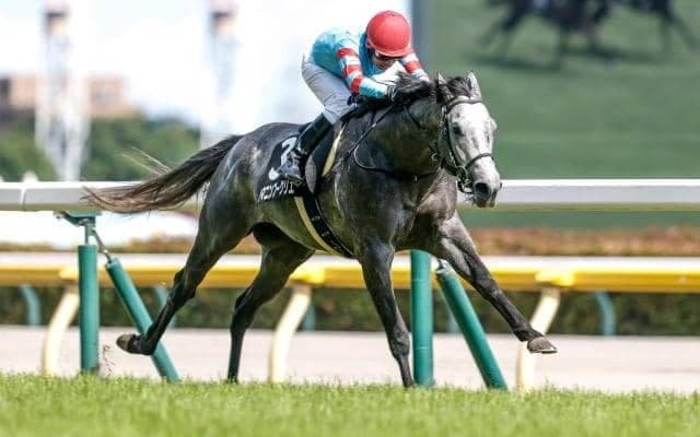 【日経新春杯予想】AIは堅めの決着を示唆？ 強調材料が多い一頭を素直に信頼