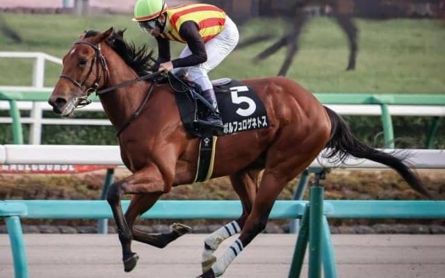 【京成杯出走馬・騎手確定】ポルフュロゲネトス＆横山武史騎手、ソラネルマン＆C.ルメール騎手など15頭