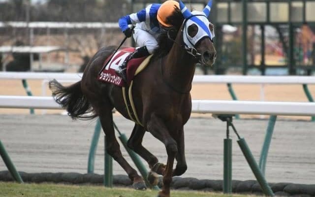 軽ハンデ2頭の激走がレース史上最高配当を呼ぶ 21年日経新春杯