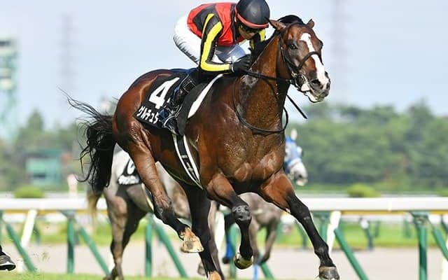 【日経新春杯枠順確定】ゲルチュタールは5枠6番、ヤマニンブークリエは6枠8番