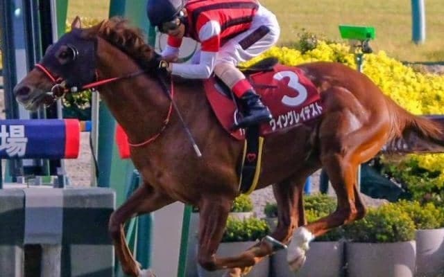 中山芝は先行ベター カーバンクルSはウイングレイテストの押し切りだ