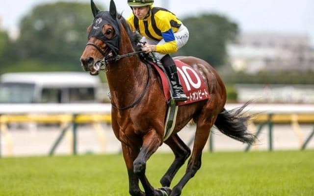 23年目黒記念覇者のヒートオンビートが登録抹消 北海道で乗馬となる予定