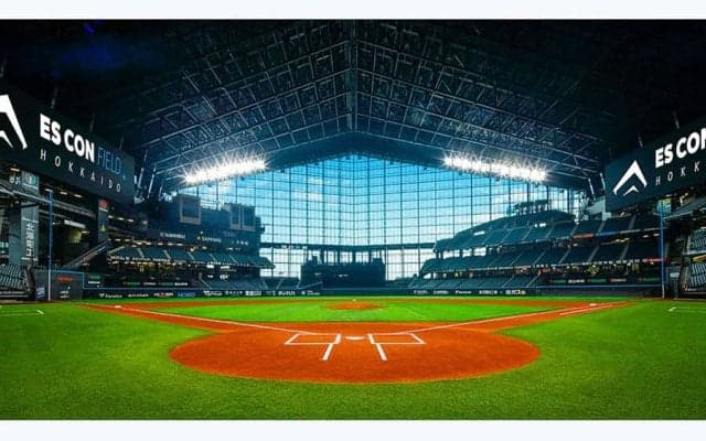 「史上最高傑作」の日ハム限定ユニ　主力選手も絶賛…評判呼んだ情熱「ブレてはいけない」