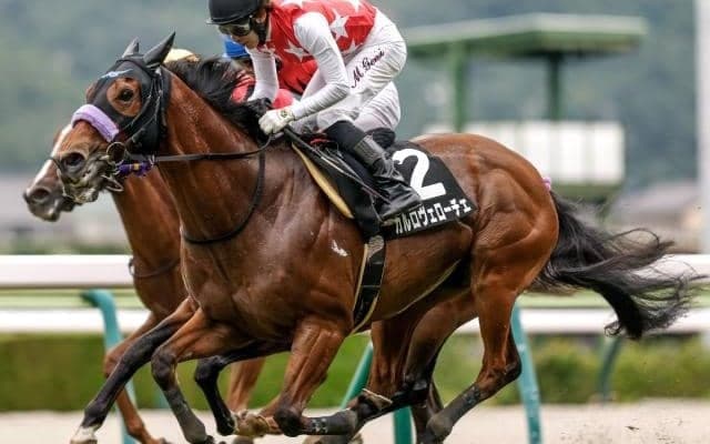 【今日の注目ポイント】中山でカーバンクルSと京都で紅梅S