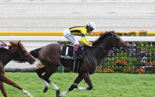 【競馬予想】日経新春杯は伸び盛りの明け４歳馬が有力も、遅咲きの良血馬にも要注意！