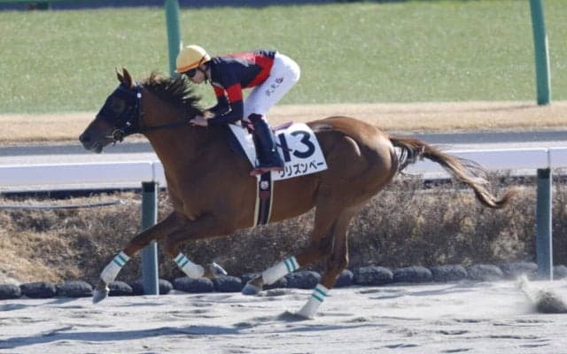 【中山2R】断然人気ウリズンベーが5馬身差圧勝