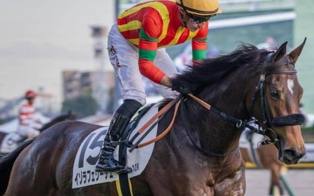 エフフォーリアの半妹イゾラフェリーチェ 約2年ぶりの勝利狙う