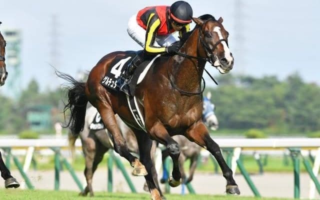 【AI予想・日経新春杯】順調な調整過程でいざ重賞獲りへ！ 人工知能はGIで善戦した実力を素直に評価