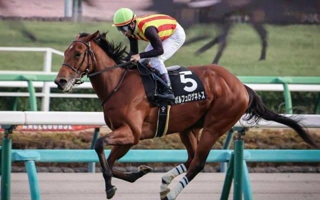 【京成杯予想】皐月賞と同舞台 クラシックを占う一戦