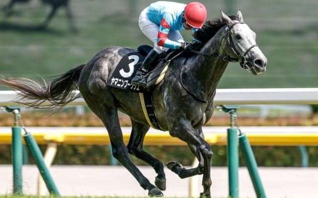 【日経新春杯予想】新春の伝統ハンデ重賞を制すのは