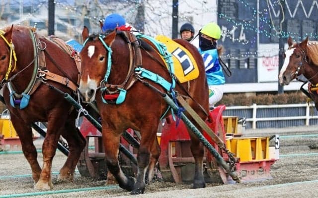 【ばんえい十勝】今井千尋騎手、地方競馬女性騎手の年度最多勝記録を更新
