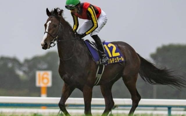 【日経新春杯・馬体重】ゲルチュタールは530kg(+6)、シャイニングソードは524kg(+2)