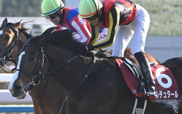 【日経新春杯結果】ゲルチュタールが競り合いを制し重賞初制覇