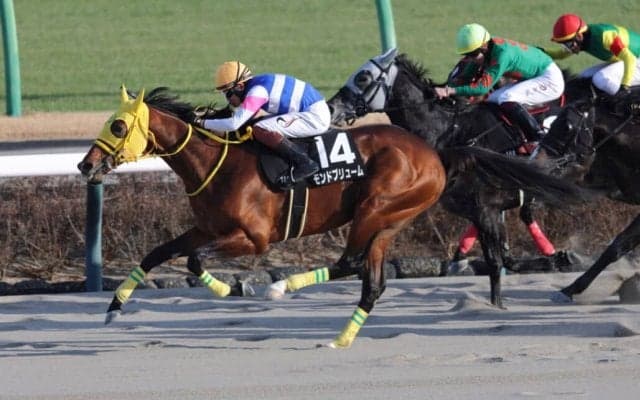 【ジャニュアリーS】12番人気モンドプリュームが波乱を演出