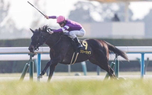【紅梅S】リリージョワが無傷の3連勝…圧倒的なスピード能力で押し切る