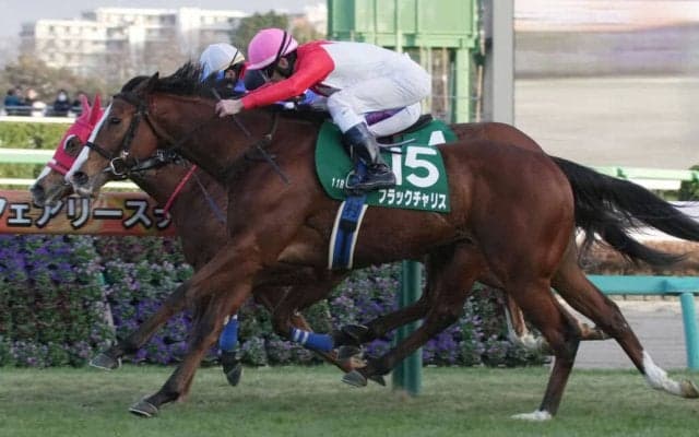 【フェアリーS】ブラックチャリスが混戦を断つ…津村明秀は2週連続重賞V