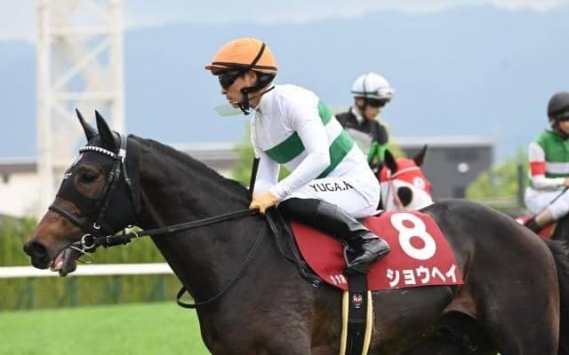 AJCC、プロキオンSなど3重賞/今週の競馬界の見どころ