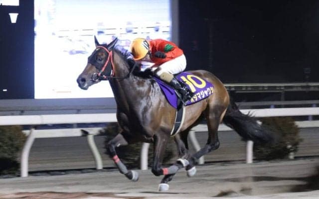 【高知・大高坂賞】永森「今日はド根性ガエルでした」オタマジャクシが5連勝