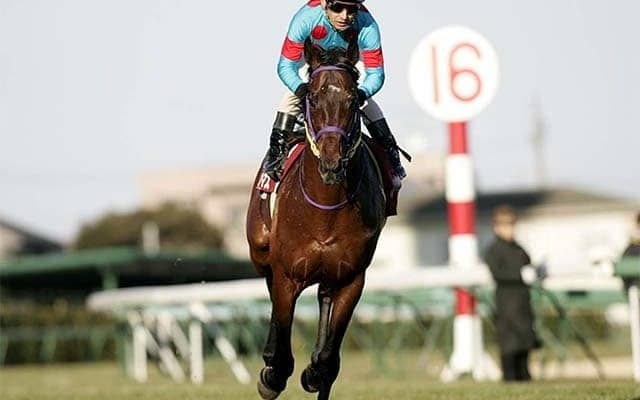 00年代の名バイプレイヤー シルクフェイマスが制したAJCCから20年