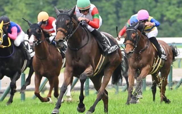 【小倉牝馬S見どころ】実績上位のココナッツブラウンに注目
