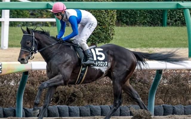 【プロキオンS見どころ】ロードクロンヌが重賞初制覇を狙う