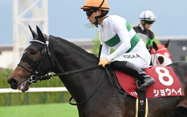 【AJCC見どころ】ハイレベル世代の4歳勢ショウヘイが躍動する