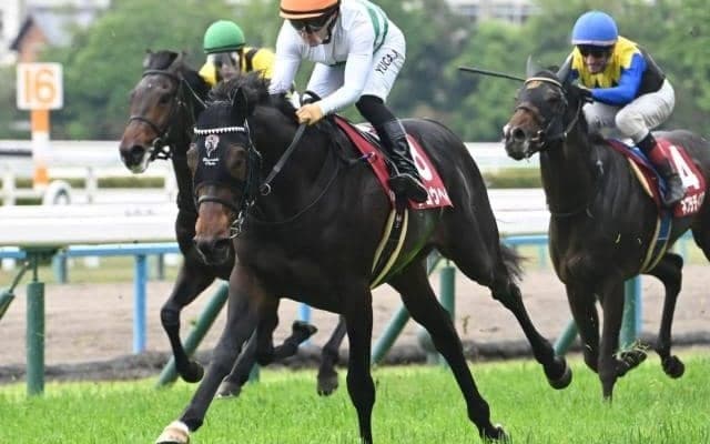 【AJCC想定騎手】ショウヘイは川田将雅騎手、ジョバンニは松山弘平騎手