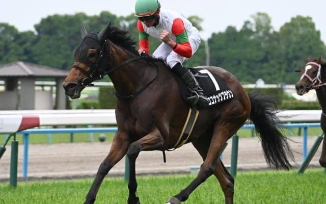 【小倉牝馬S想定騎手】ココナッツブラウンは北村友一騎手、ジョスランはC.ルメール騎手