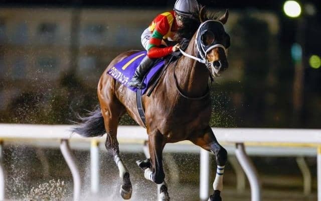【船橋・報知グランプリC枠順】前走5馬身差Vのグロリアムンディは7枠7番