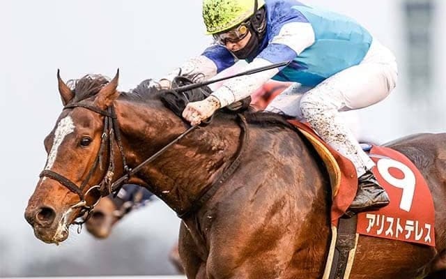 三冠馬コントレイルと名勝負を演じた逸材 アリストテレスが制したAJCCを回想
