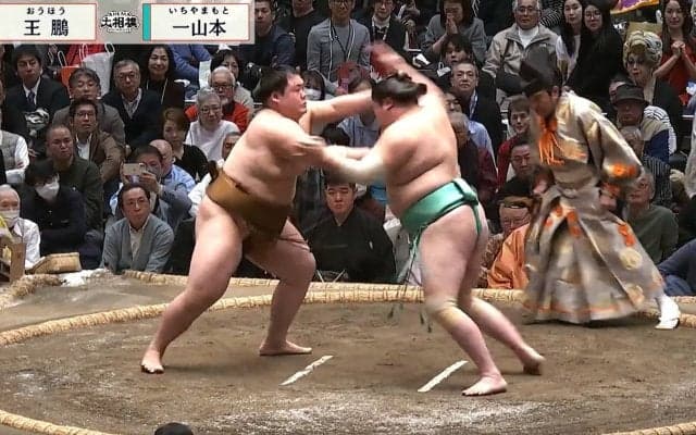 大相撲に「貴族みたい」と“ただならぬ存在感”の着物姿の人物が鎮座 “推し力士”まさかの負け越しに「がっかり」な瞬間も