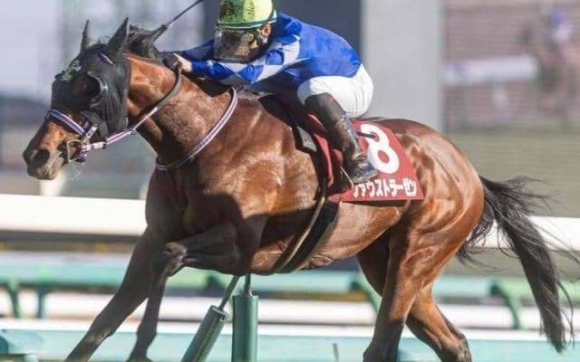 【AJCC】弥生賞覇者のファウストラーゼン 須貝厩舎に転厩しての復帰戦だ