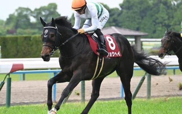 【AJCC予想オッズ】ショウヘイが予想1番人気