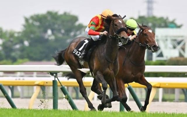 【小倉牝馬S予想オッズ】ジョスランが予想1番人気