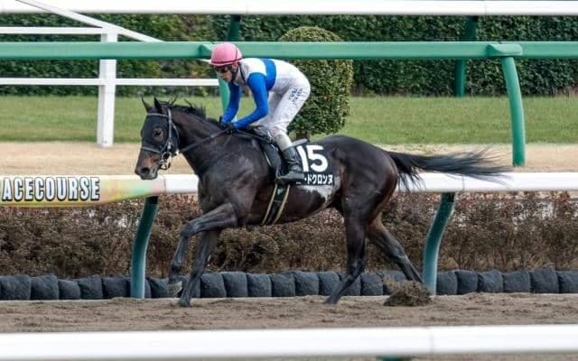 【プロキオンS予想オッズ】ロードクロンヌが予想1番人気