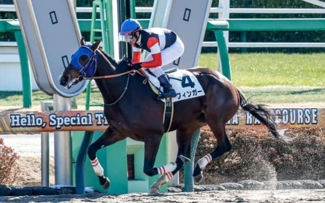 【船橋・ブルーバードC注目馬】ダート三冠に向けた登竜門 大舞台に向けて羽ばたく馬は